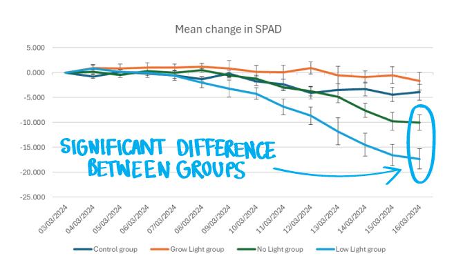 Plants growing under different lighting conditions